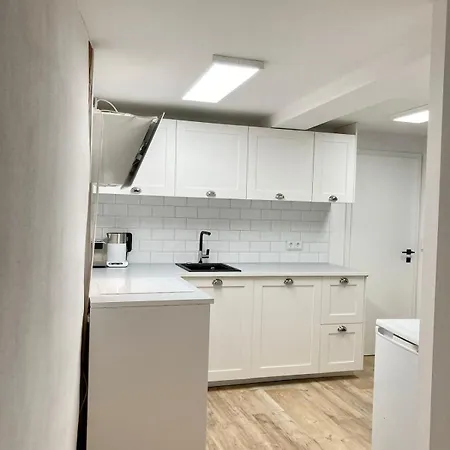 Altstadtwohnung Mit Flair, 2 Zimmer, Kueche, Bad, Kamin, 50 Qm Arnstadt